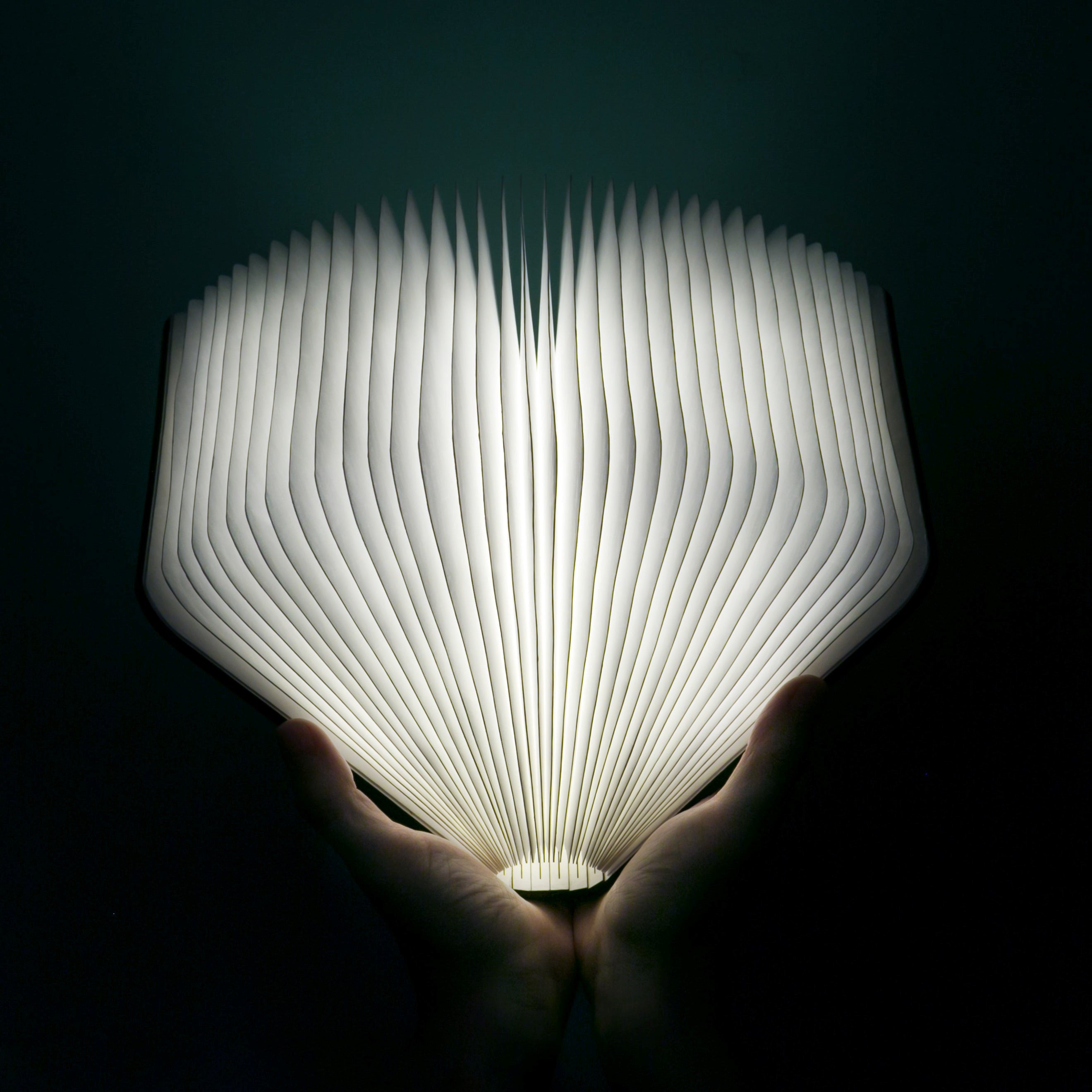 Smart 360° Folding LED Book Light By Home Tech™